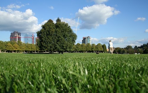 bellevue-downtown-park