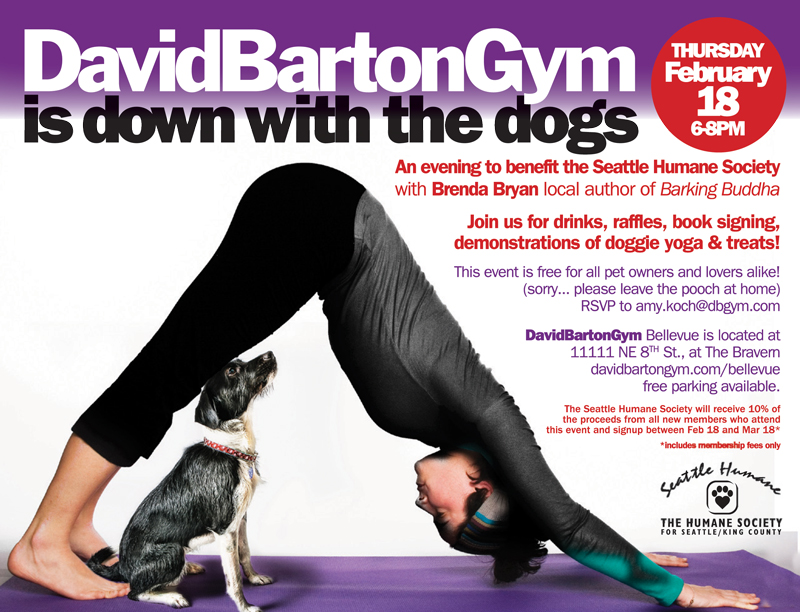 David Barton Gym - Dogs