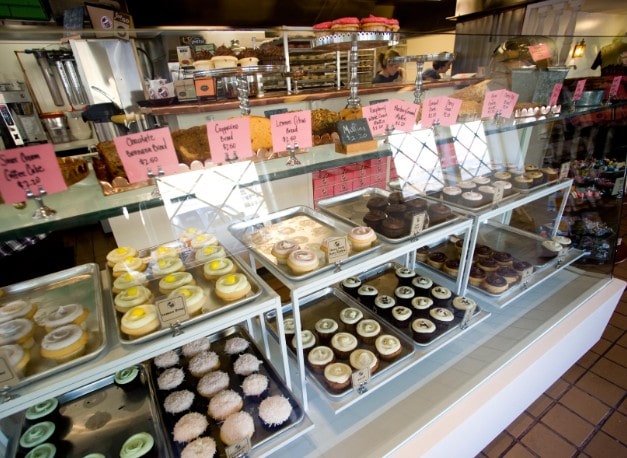 Cupcake Case Cupcake Case