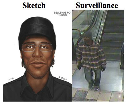 Bellevue Square Armed Gunman