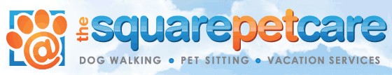Pet Sitting Dog Walking Downtown Bellevue