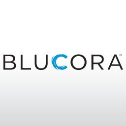 Bluecora Bellevue Office Space Headquarters