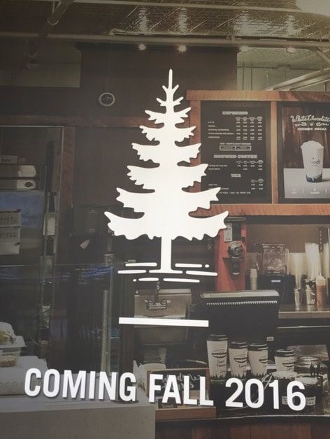 Woods Coffee Logo Bellevue Square