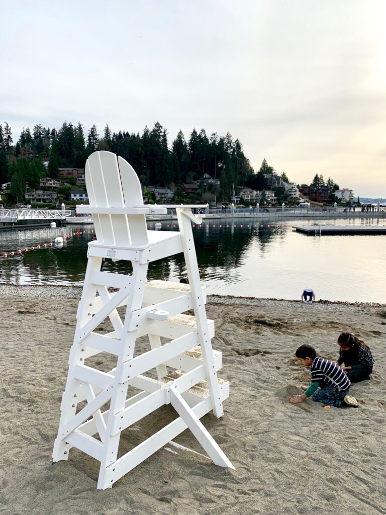 Meydenbauer Bay Park Brings Dynamic Waterfront Park to ...