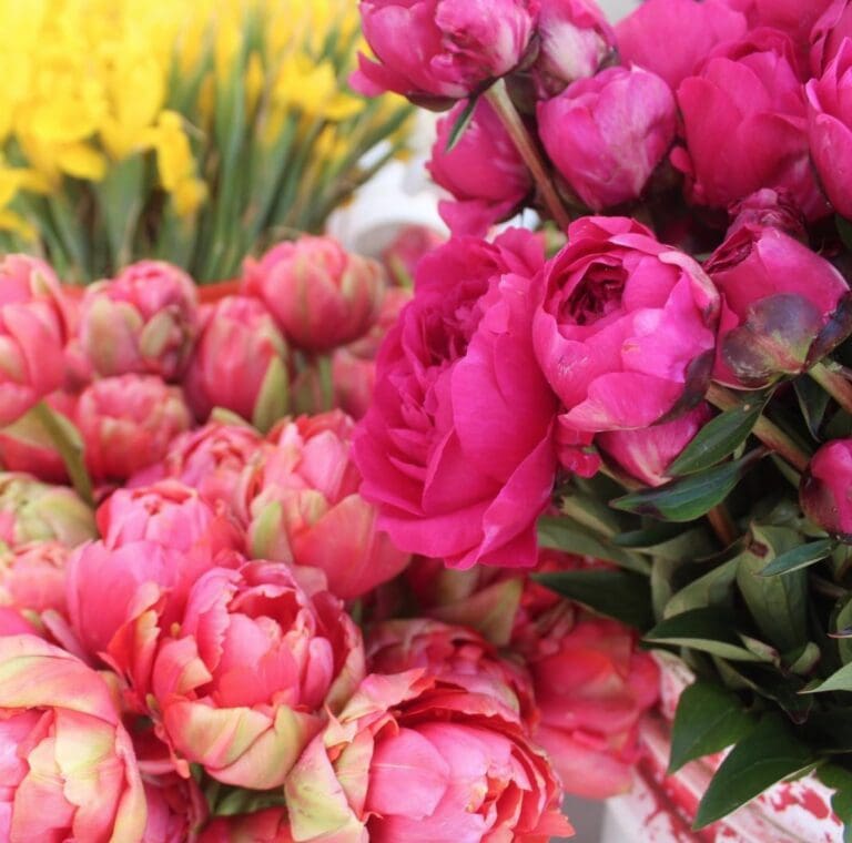 2019 Bellevue Farmer's Market to Open May 16
