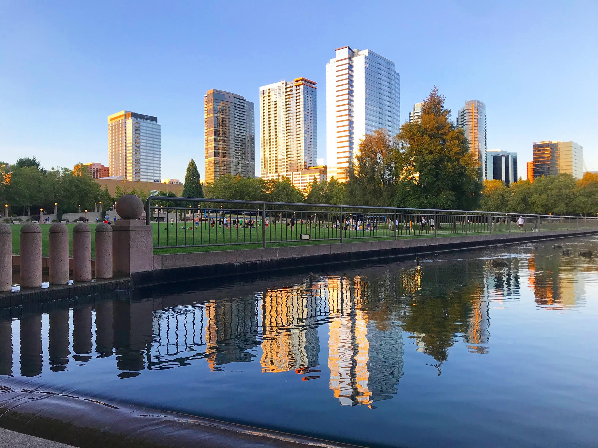 Bellevue Downtown Park