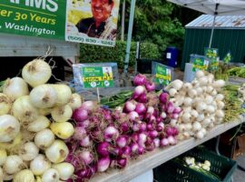 Vegetables at the Bellevue Farmers Market