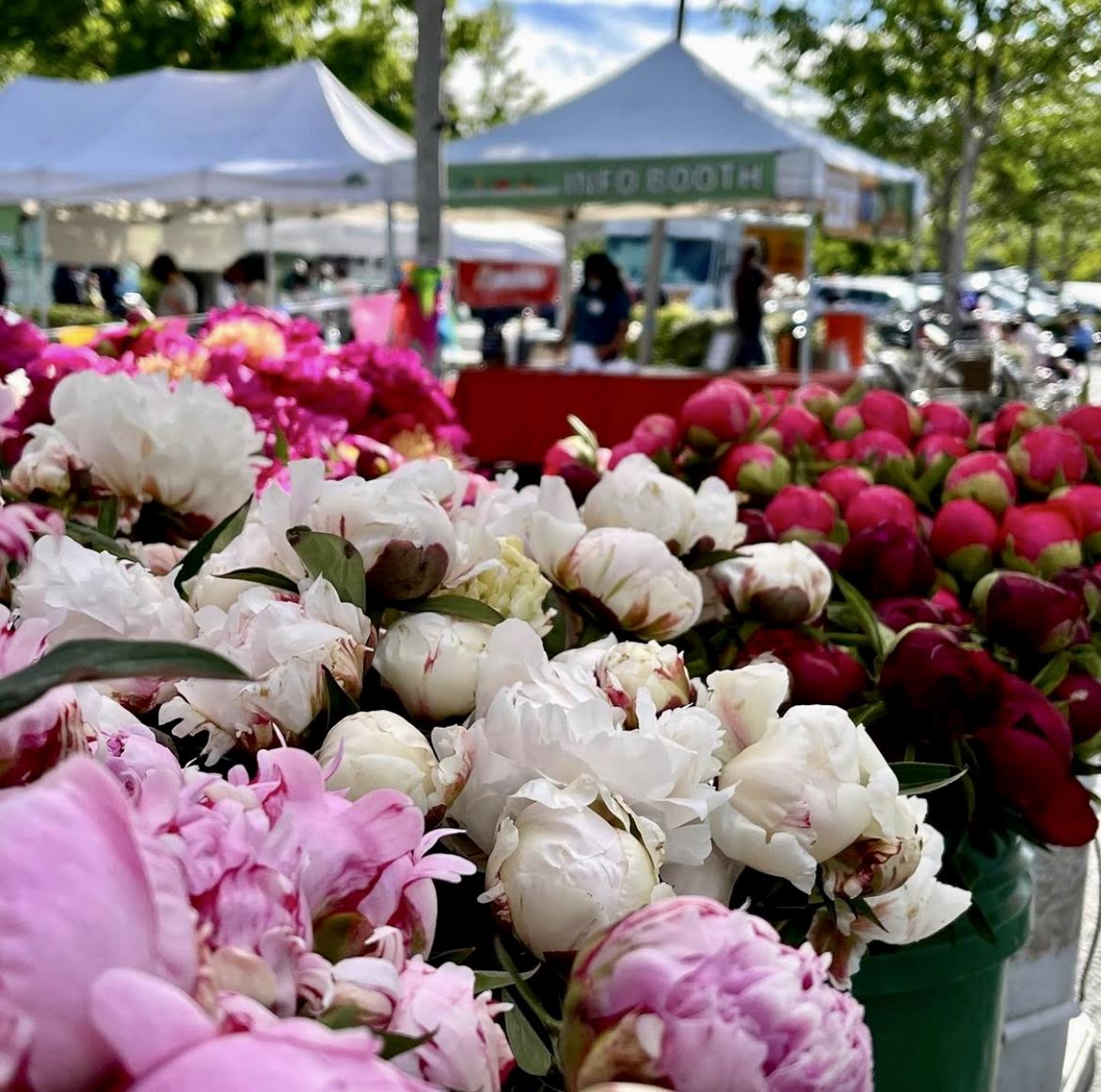 Bellevue Farmers Market