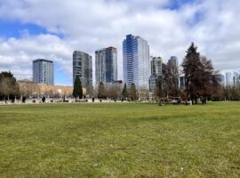 Bellevue Downtown Park 2022