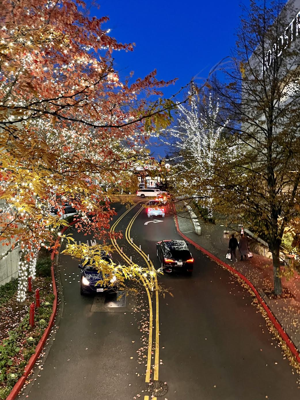 Downtown Bellevue Holiday Guide for 2022 Downtown Bellevue Network