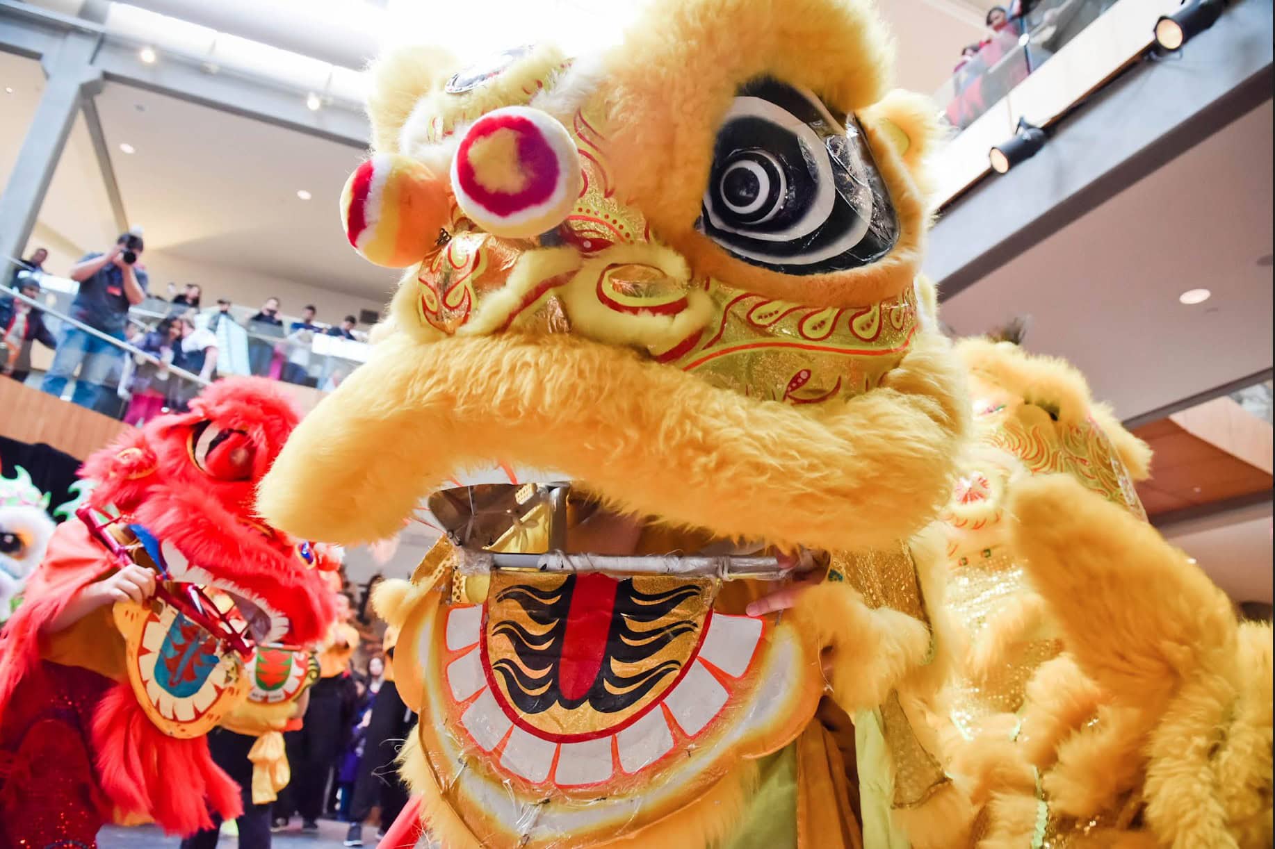 Lunar New Year Bellevue 