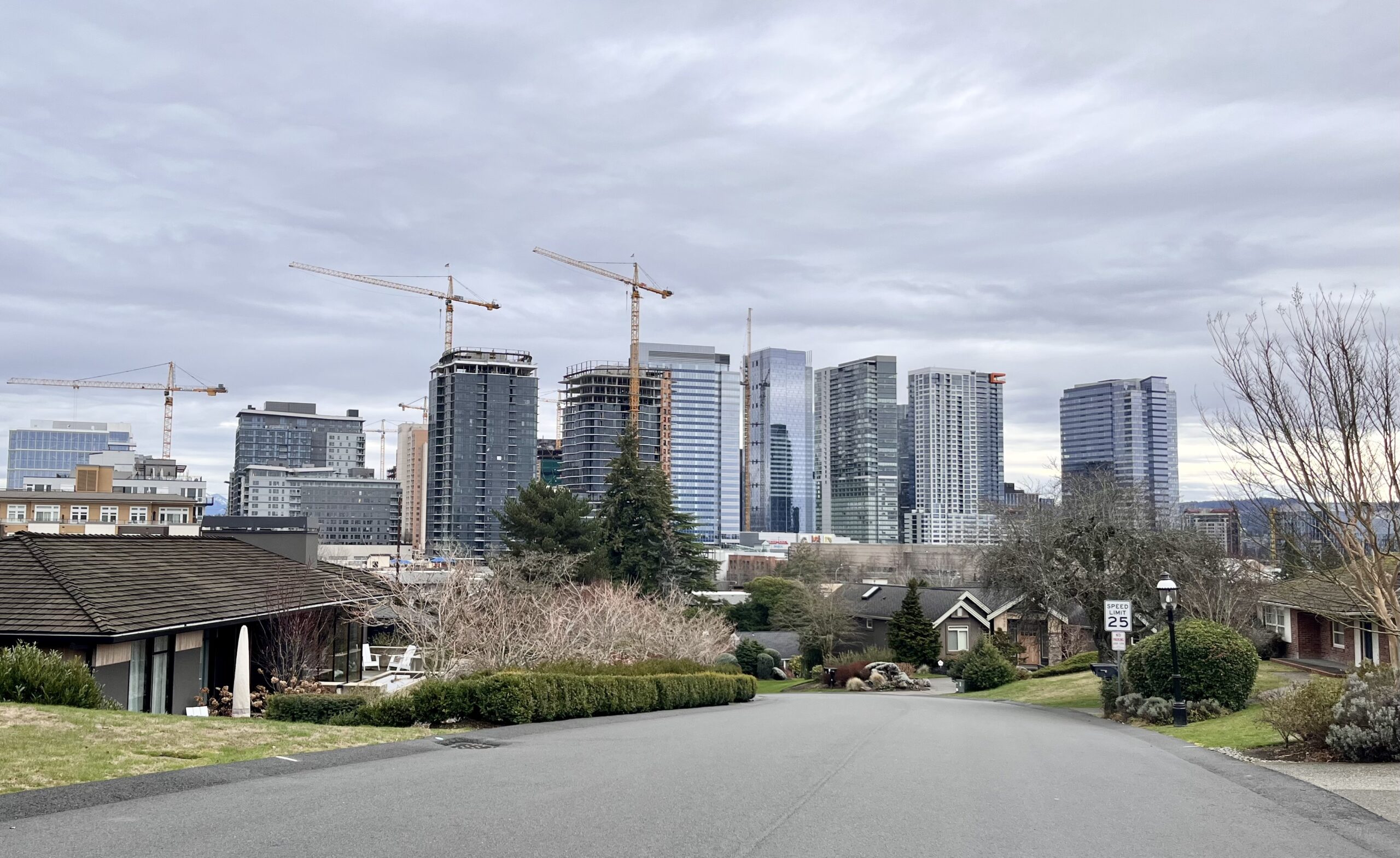 Bellevue City Skyline from Vuecrest