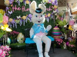 The Easter Bunny at Bellevue Square