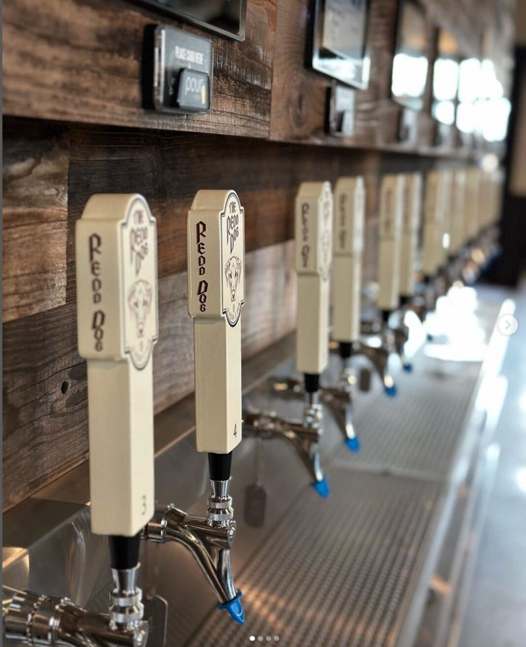 Self-Serve Pub, The Redd Dog, to Open in Bellevue The Redd Dog Bellevue