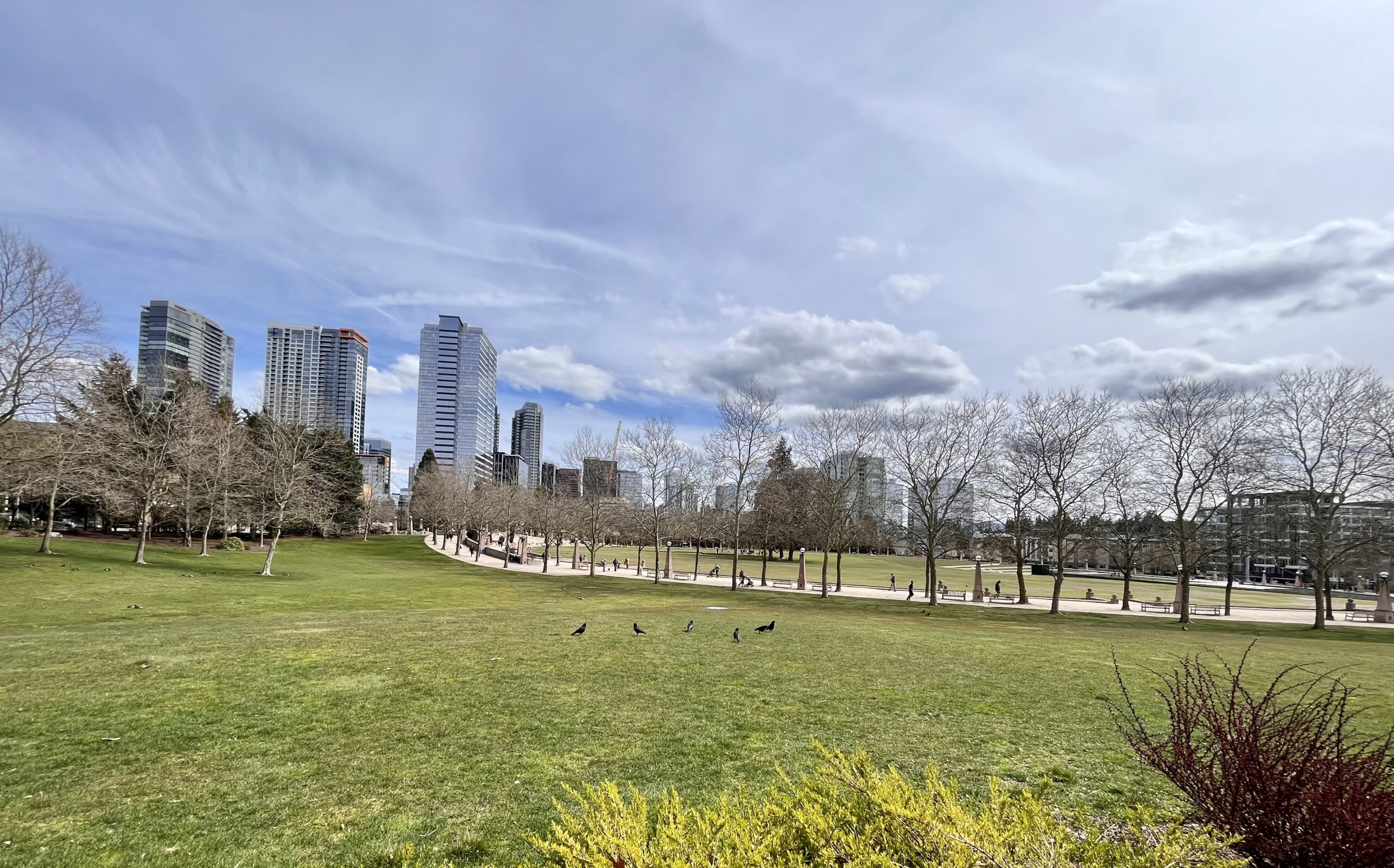 Bellevue Downtown Park