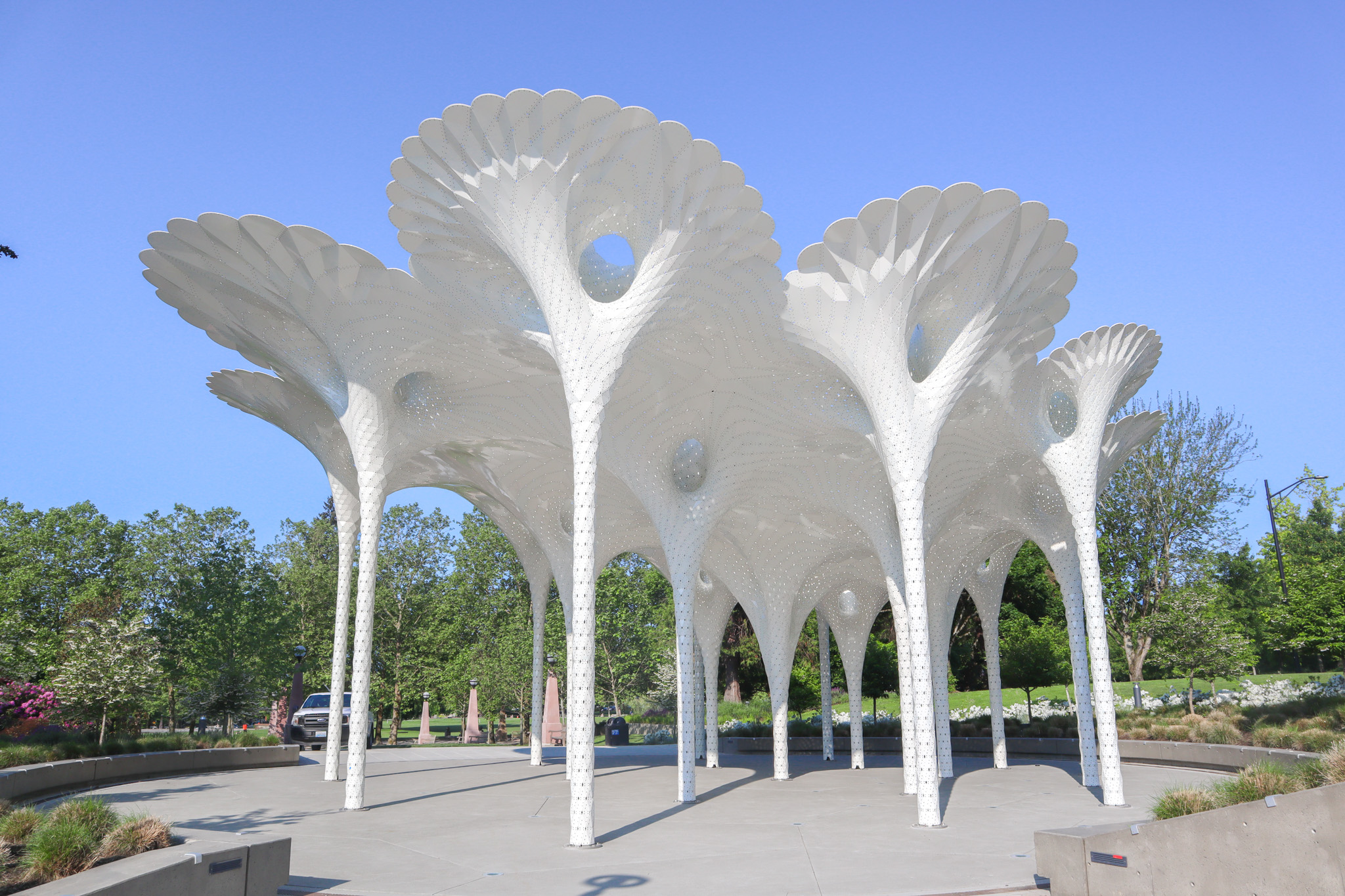 Art installation at Bellevue Downtown Park