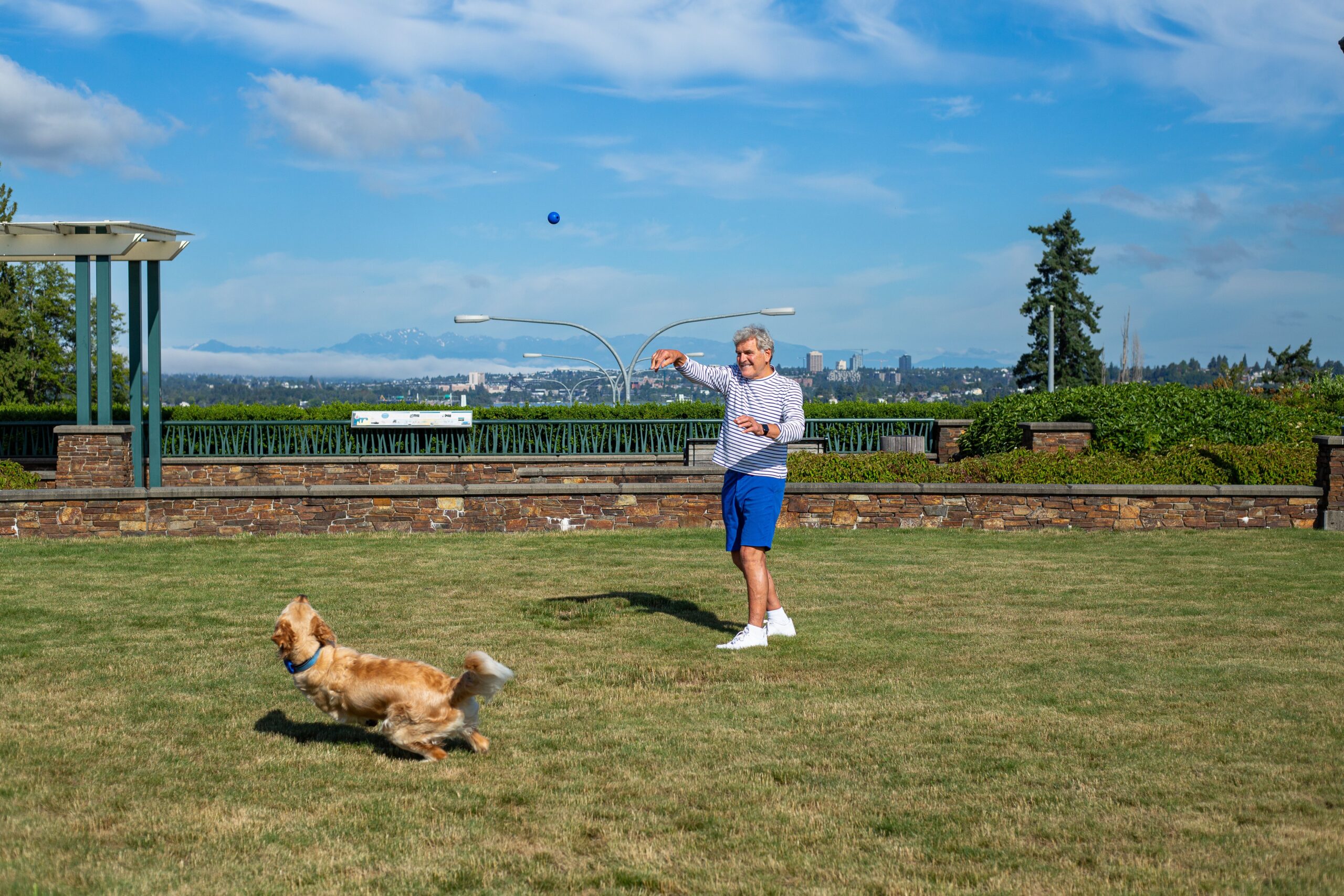 520 Bridge Overpass Park with views of Seattle and the Olympic Mountain Range