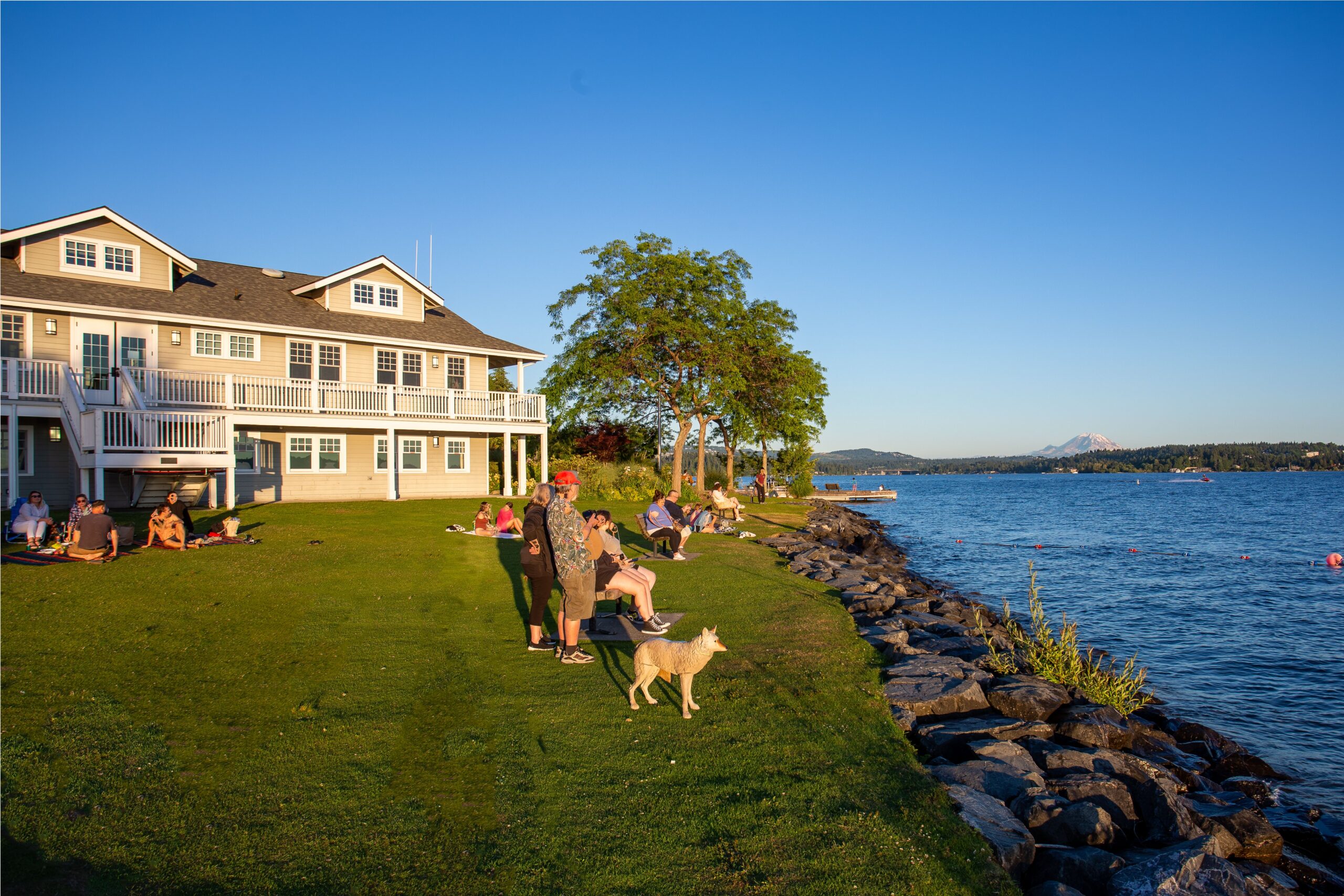 Discover Medina Beach Park: A Haven for Recreation, Nature, and ...