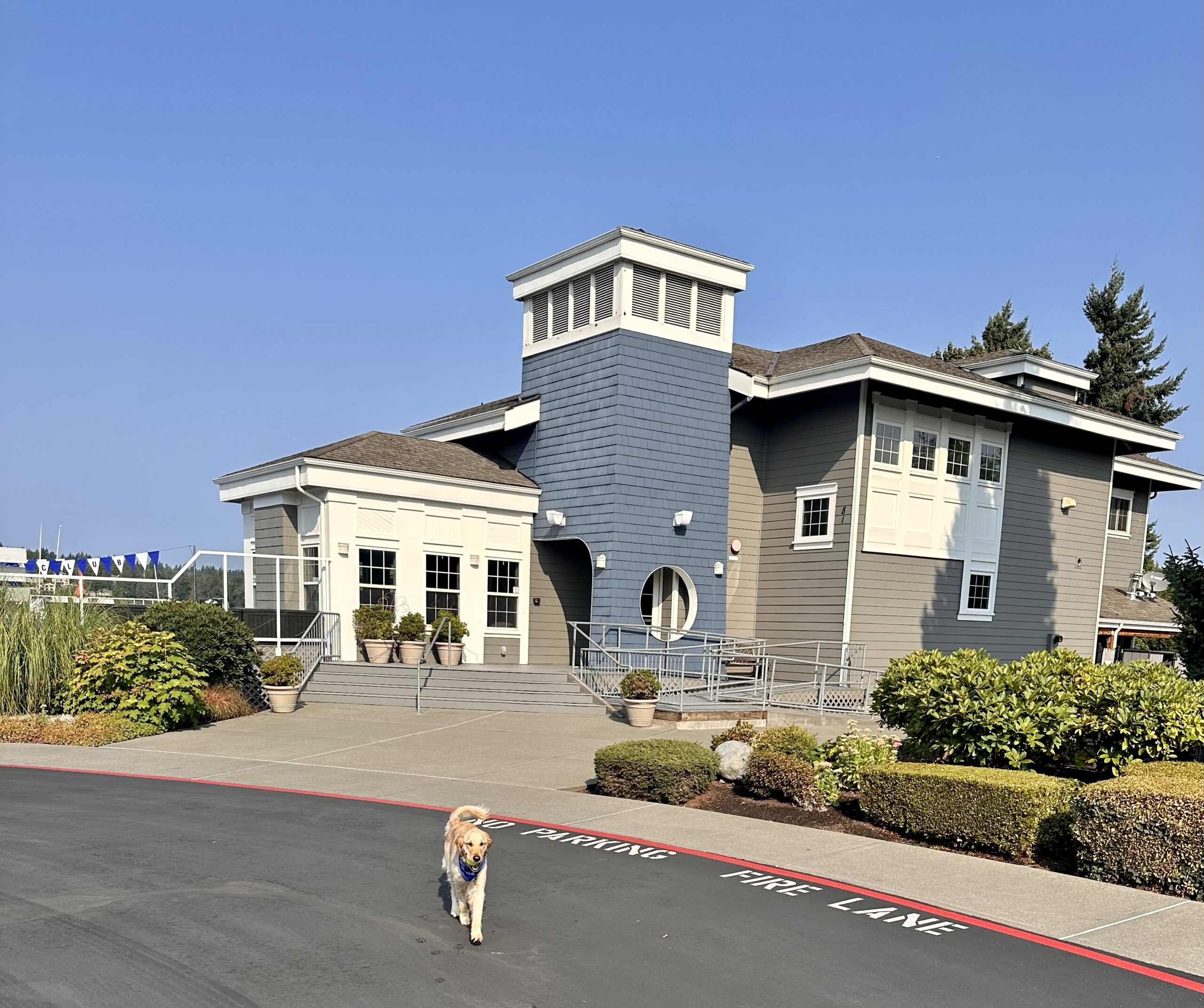 newport shores yacht club bellevue