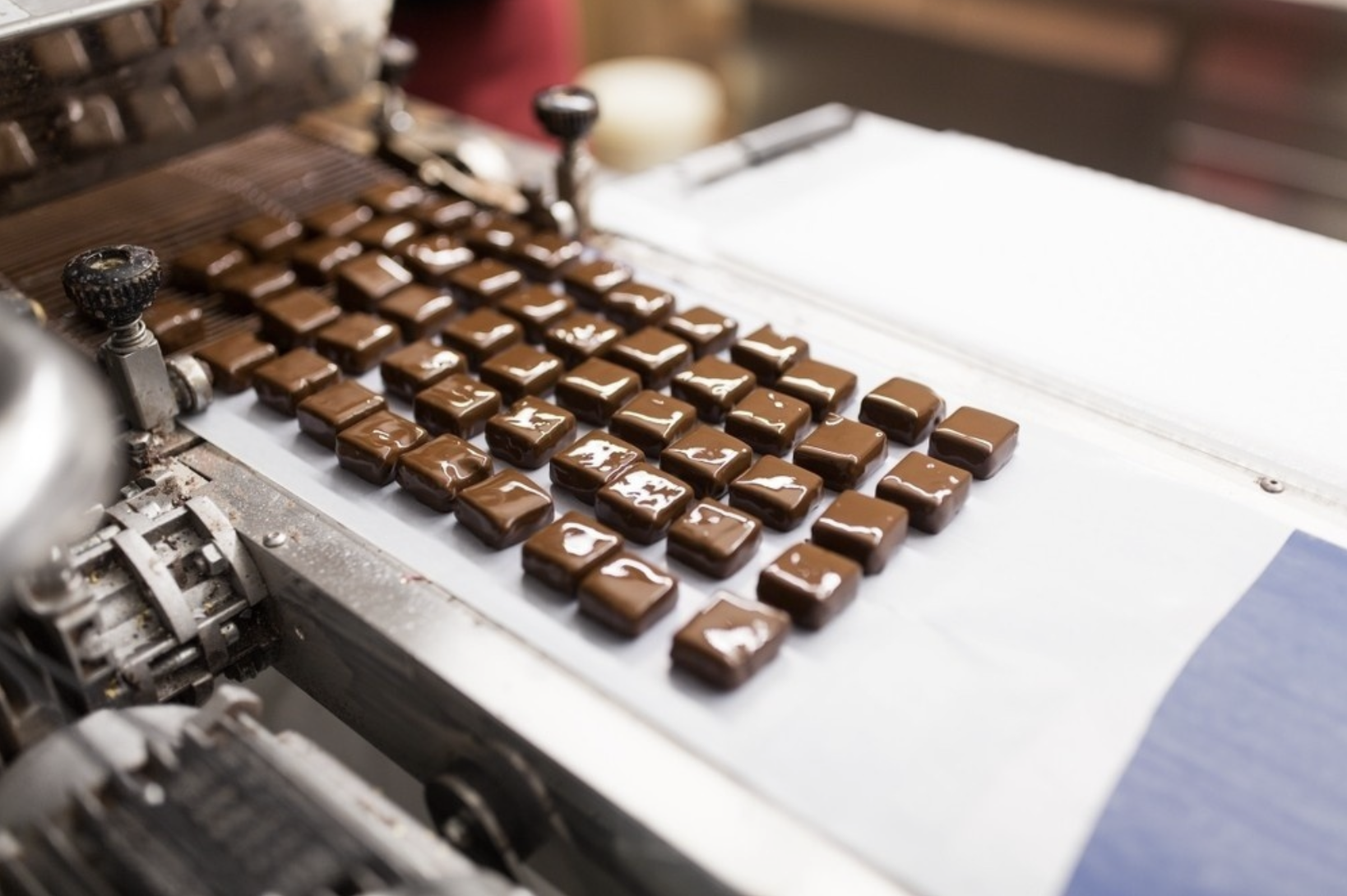 NW Chocolate Festival at Meydenbauer Center in Bellevue