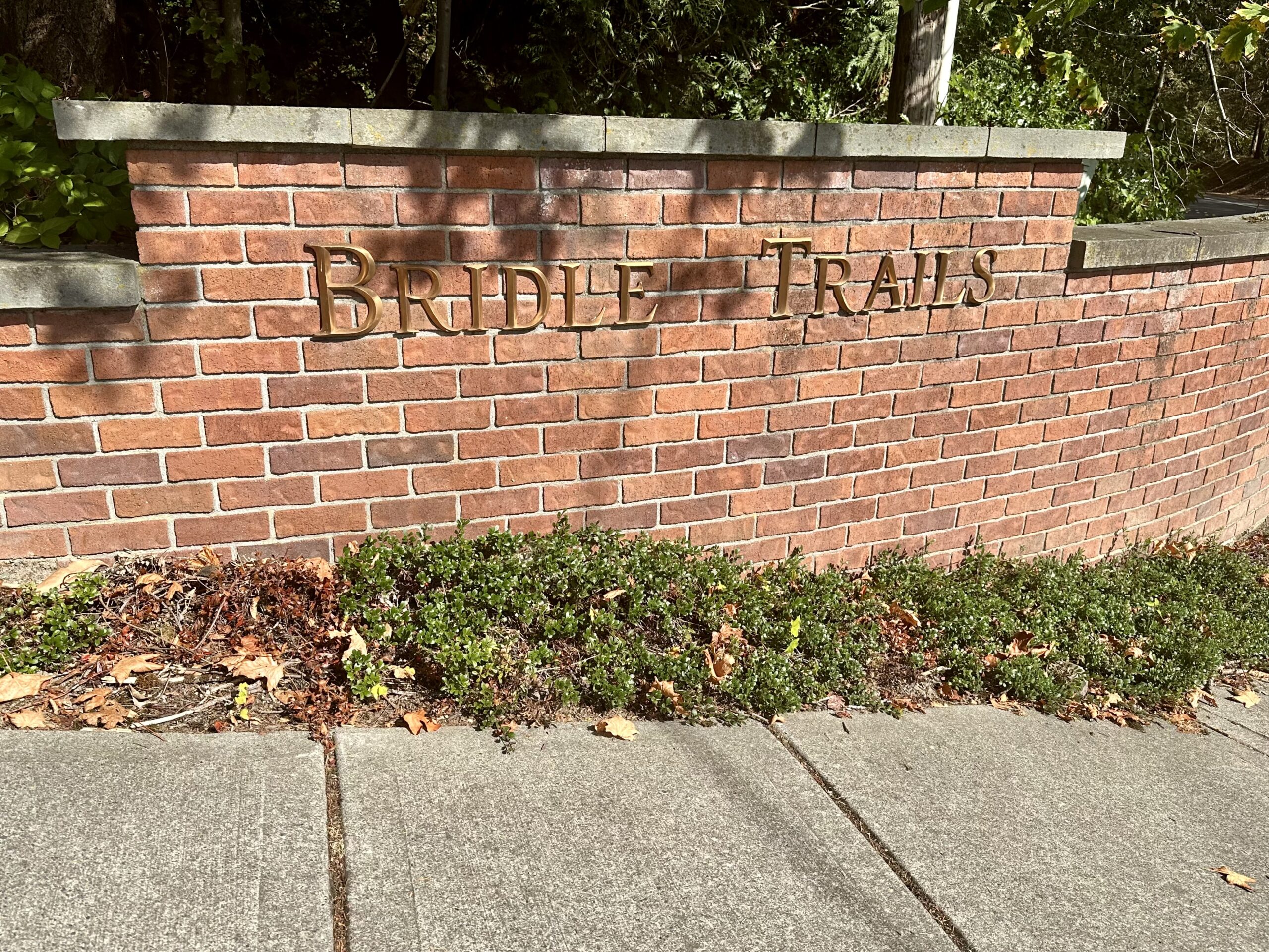 Bridle Trails Neighborhood 