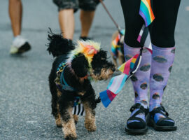 Paws & Pride Dog Walk