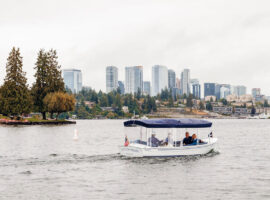 bellevue-lake-cruises