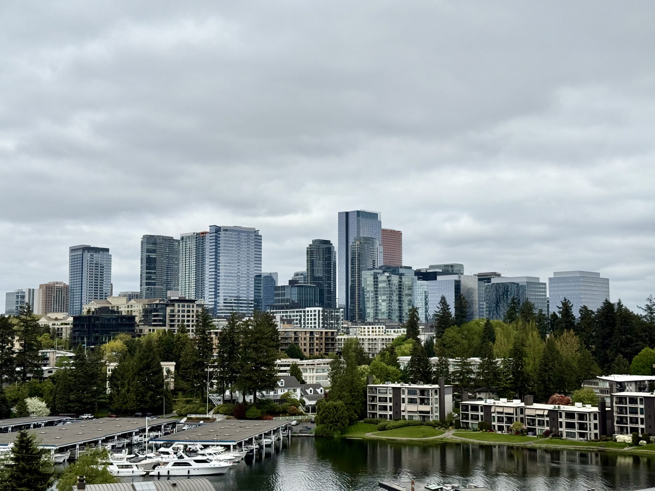 Bellevue City Skyline