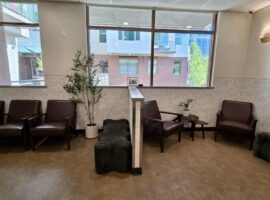 Bellevue Animal Hospital