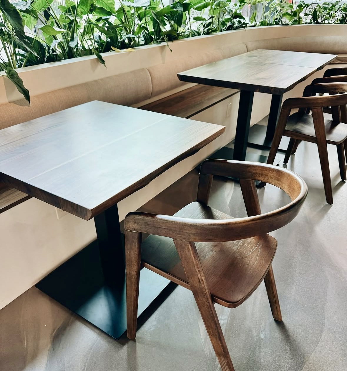 Sano Cafe Bellevue