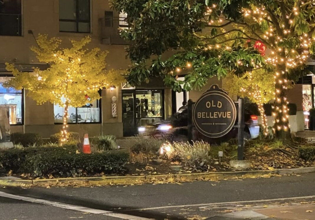 Temporary Development Rules Approved for Old Bellevue Main Street Old Bellevue, Main Street