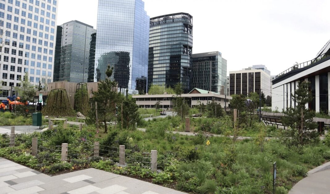 Amazon Opens New 1.75-Acre Public Park in Downtown Bellevue The Meadow at Bellevue 600
